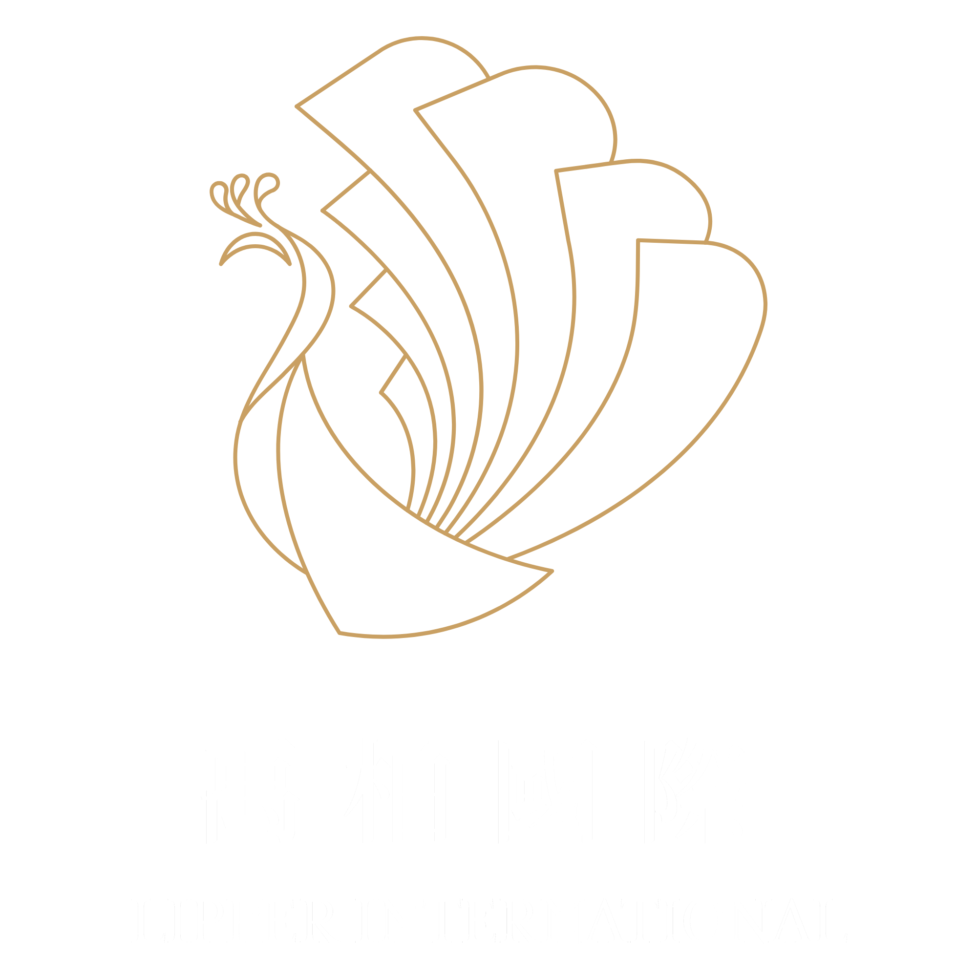 禹柏國際｜頂級廚衛與生活家電的極致實踐