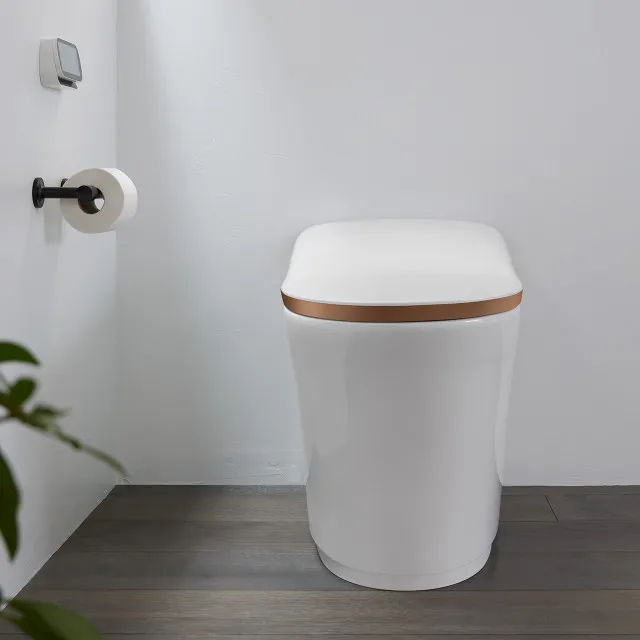 KOHLER Eir 智慧馬桶(旭日金) K-77795TW-EXSG-0