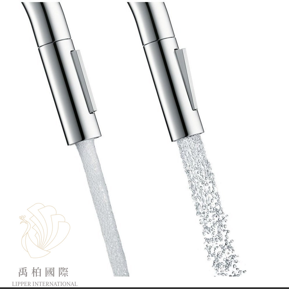 original-1145 Hansgrohe Focus M41 伸縮廚房龍頭 31815