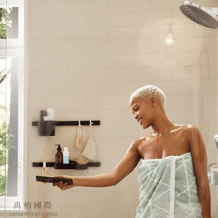 hansgrohe WallStoris刮水器27916