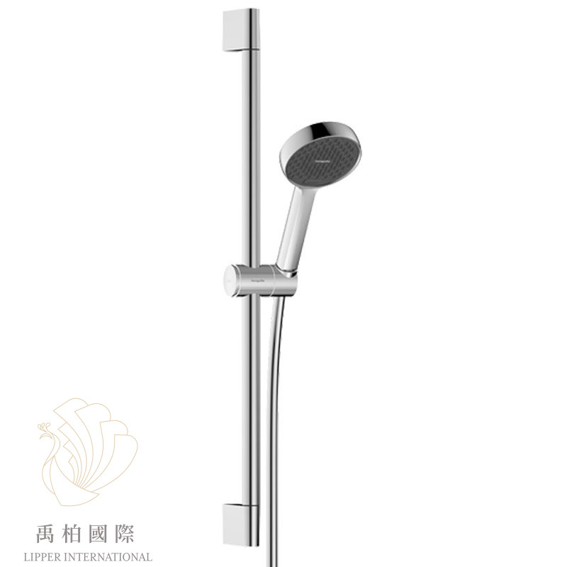 original-154 hansgrohe Activera蓮蓬頭升降桿組 鉻色28044000