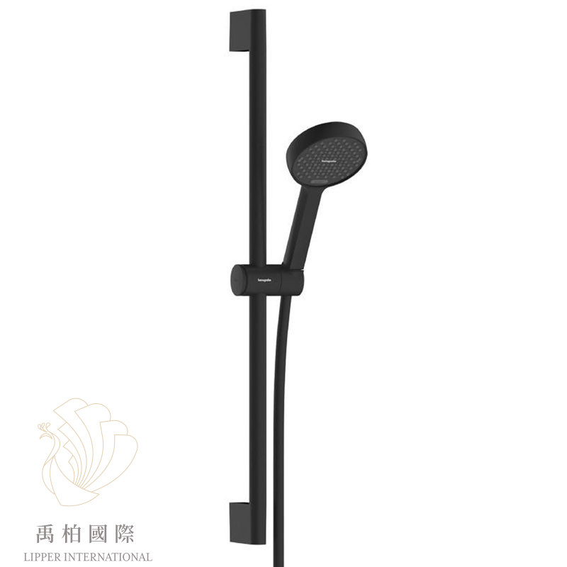 original-173 hansgrohe Activera蓮蓬頭升降桿組 霧黑28044670