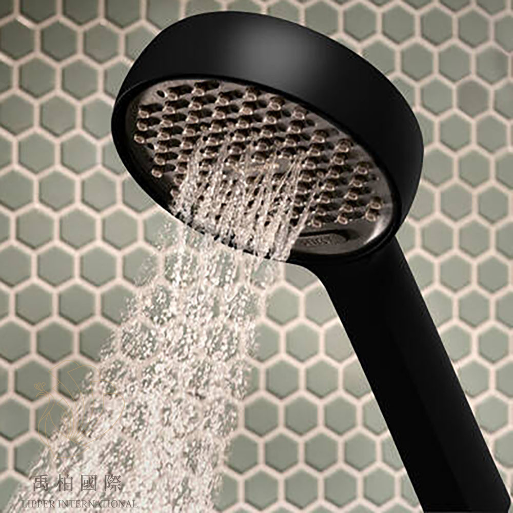 hansgrohe Activera蓮蓬頭升降桿組 霧黑28044670
