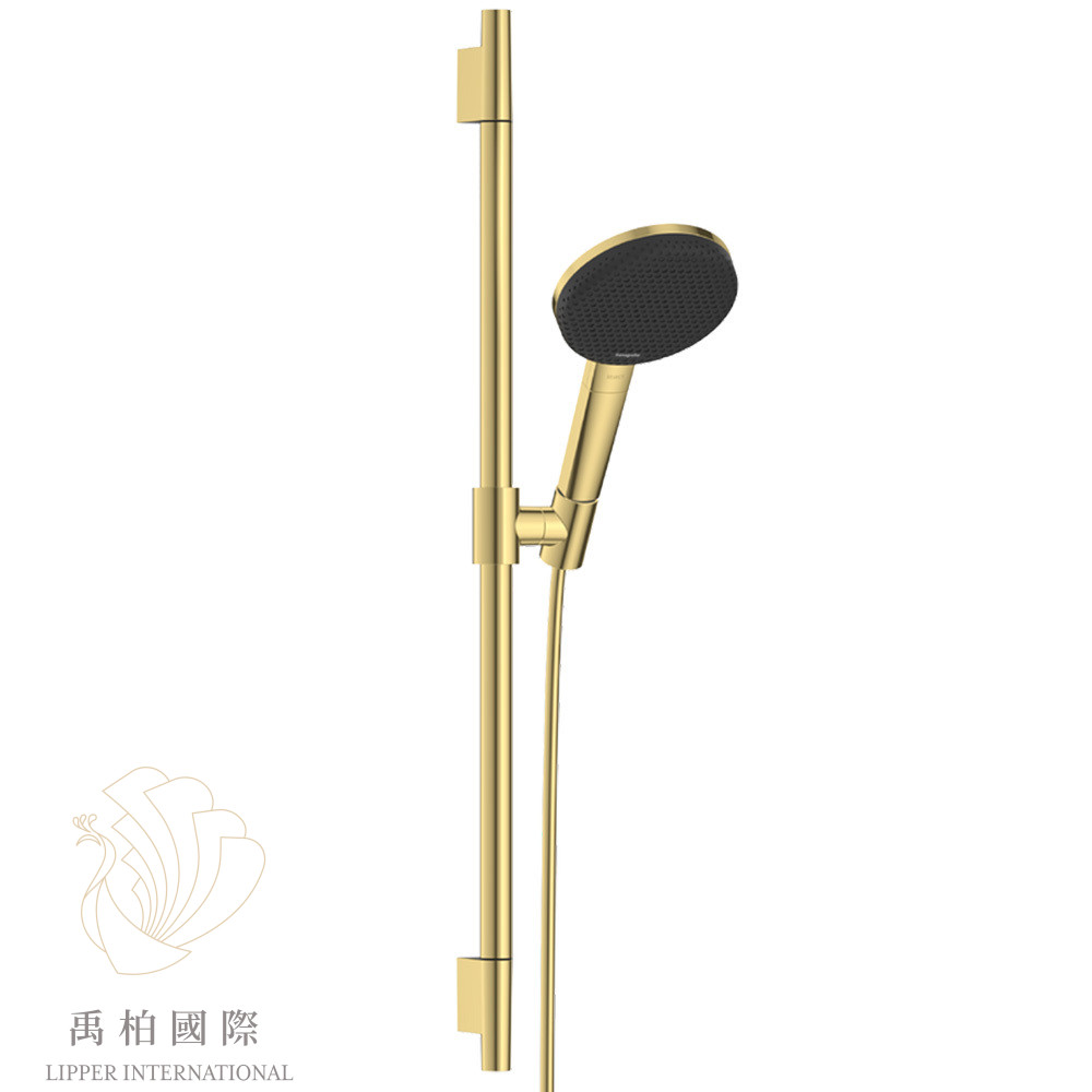 original-187 hansgrohe Alive Select S蓮蓬頭升降桿組 亮金24602990