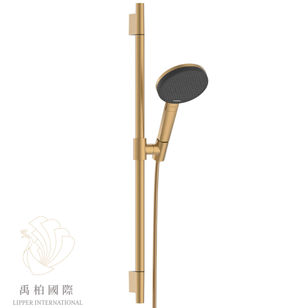 original-197 hansgrohe Alive Select S蓮蓬頭升降桿組 霧金24602140
