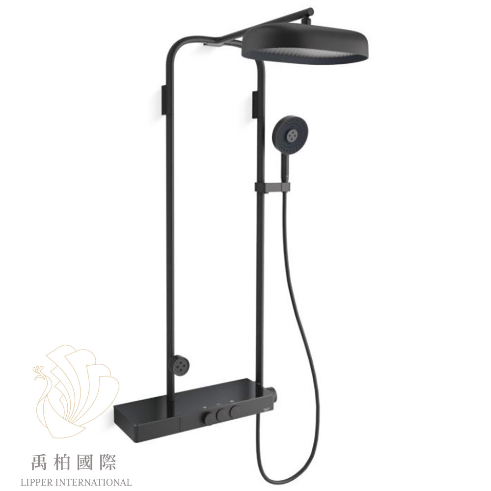 💖廚衛升級優惠💖KOHLER Spaviva恆溫淋浴花灑-霧黑 K-EX31845T-9-BL