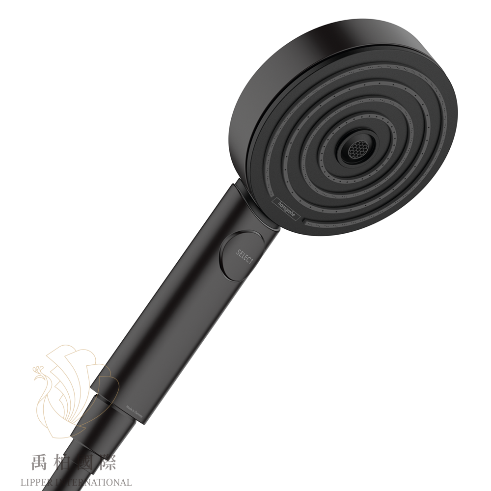 hansgrohe Pulsify蓮蓬頭升降桿組 霧黑24161670