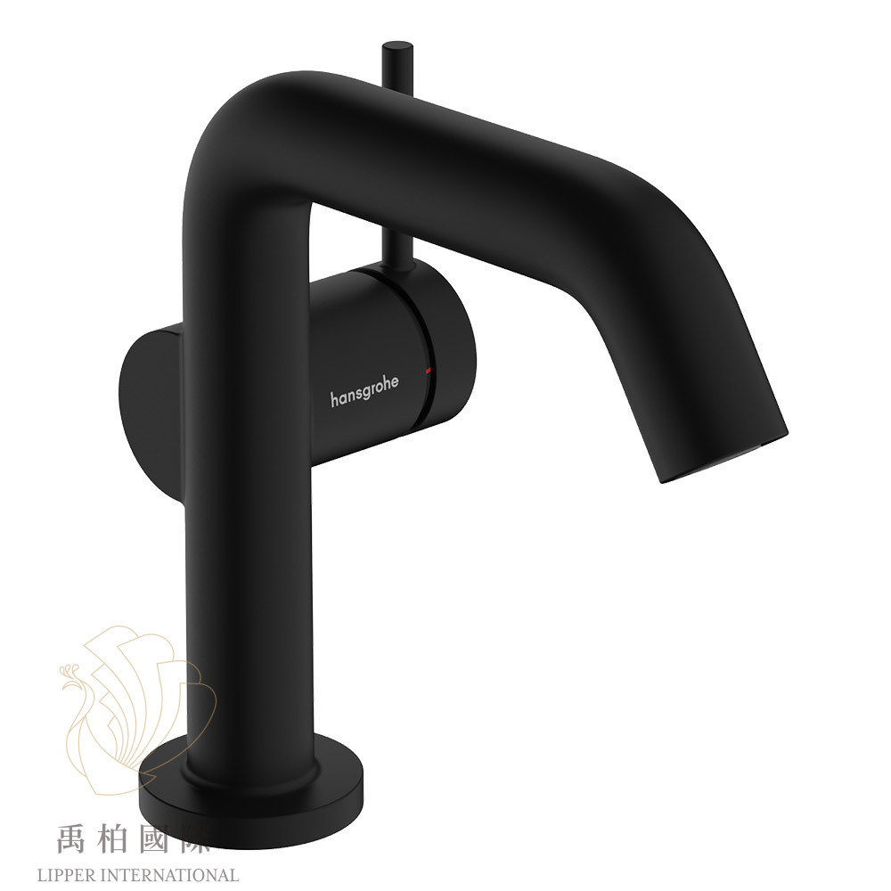Hansgrohe Tecturis S 110臉盆龍頭 霧黑73320670