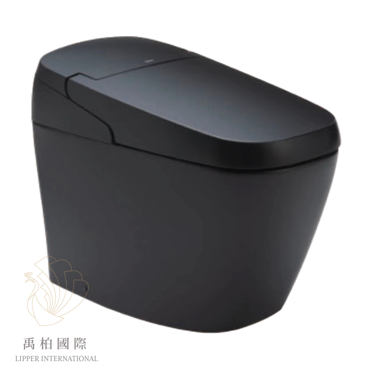 original-49 INAX SATIS G 電腦馬桶 尊爵黑DV-G218H-NR-BKG