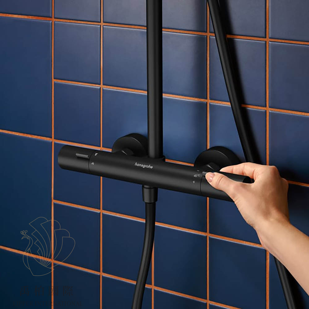hansgrohe Activera S 240恆溫淋浴花灑組 霧黑28078670