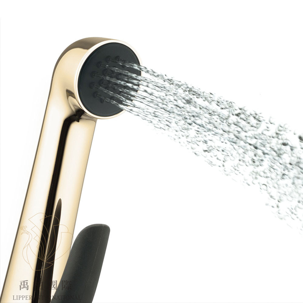 original-801 💖廚衛升級優惠💖KOHLER LUXE 沖洗器-法蘭金 K-R77364T-AF