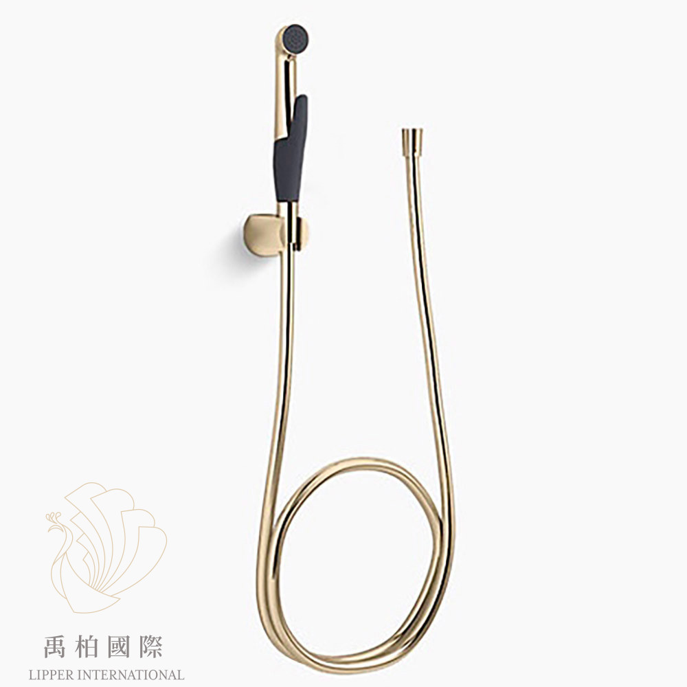 original-802 💖廚衛升級優惠💖KOHLER LUXE 沖洗器-法蘭金 K-R77364T-AF
